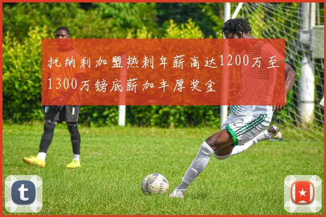 托纳利加盟热刺年薪高达1200万至1300万镑底薪加丰厚奖金