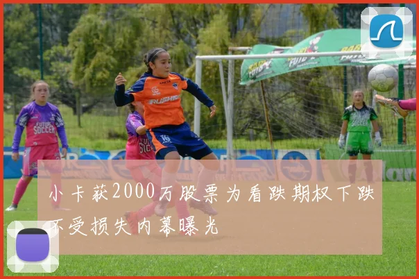 小卡获2000万股票为看跌期权下跌不受损失内幕曝光
