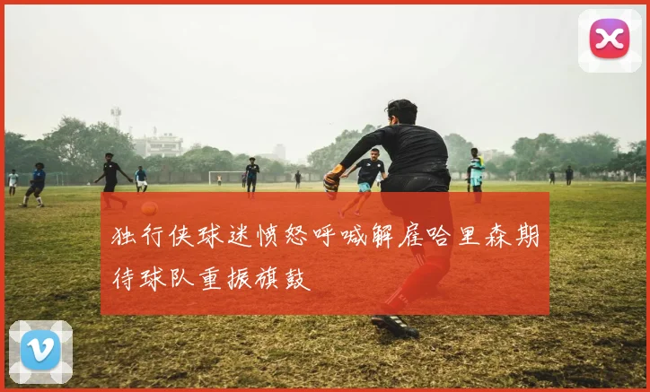 独行侠球迷愤怒呼喊解雇哈里森期待球队重振旗鼓