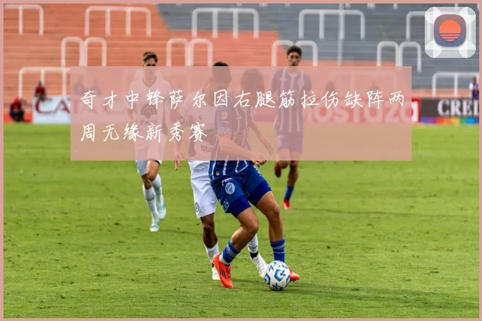 奇才中锋萨尔因右腿筋拉伤缺阵两周无缘新秀赛